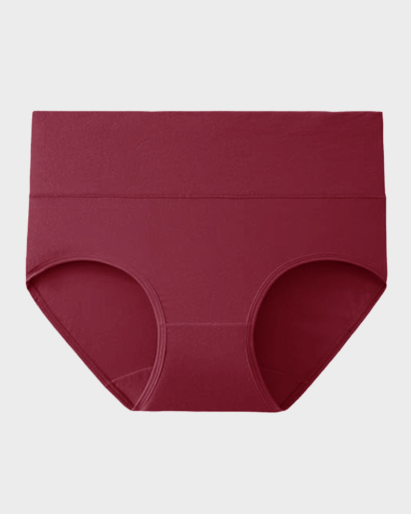 Culottes Couvrantes en Coton Taille Haute (Lot de 4)