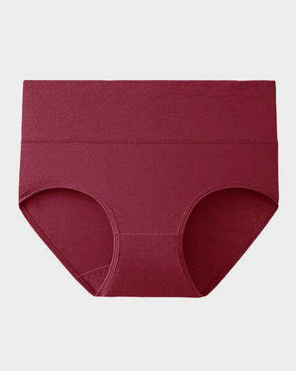 Culottes Couvrantes en Coton Taille Haute (Lot de 4)